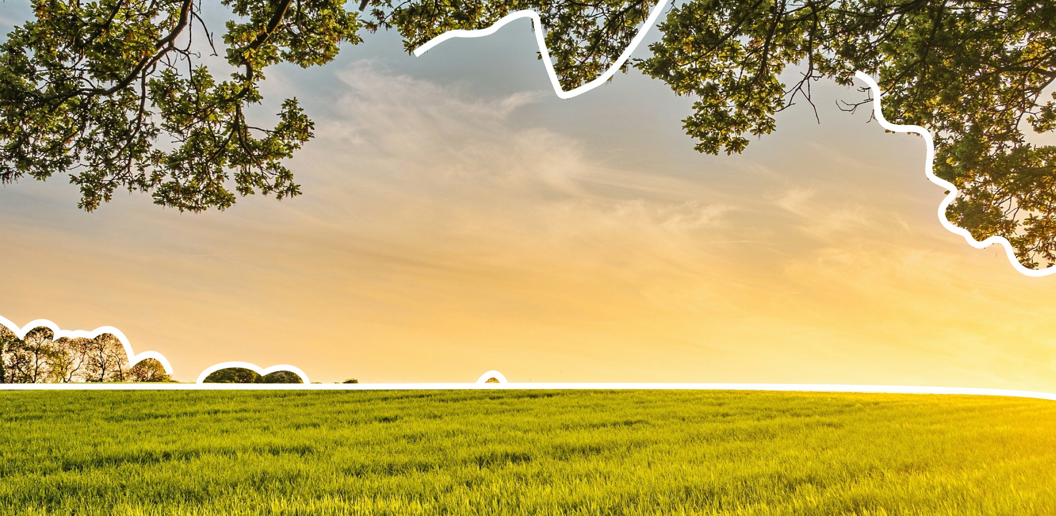 Правоустанавливающие документы на земельный участок: что это такое